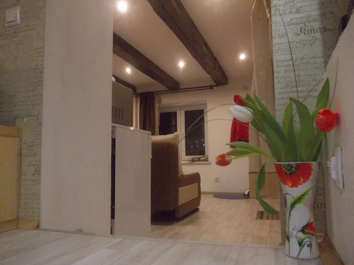 Lviv Amazing Rooftop Apartment Екстериор снимка